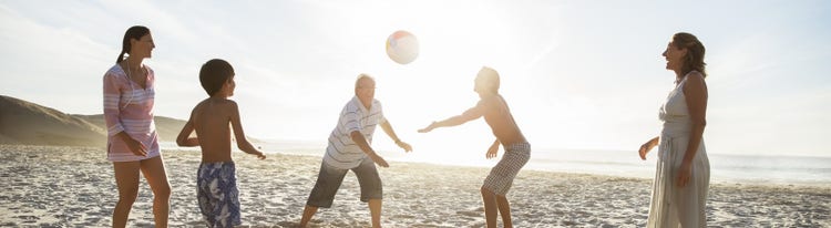 faktorkoncentrat-img